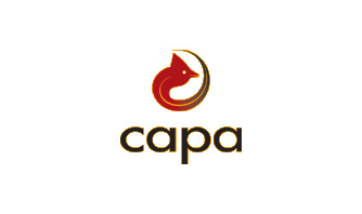 Carolinas Asphalt Pavement Association Logo